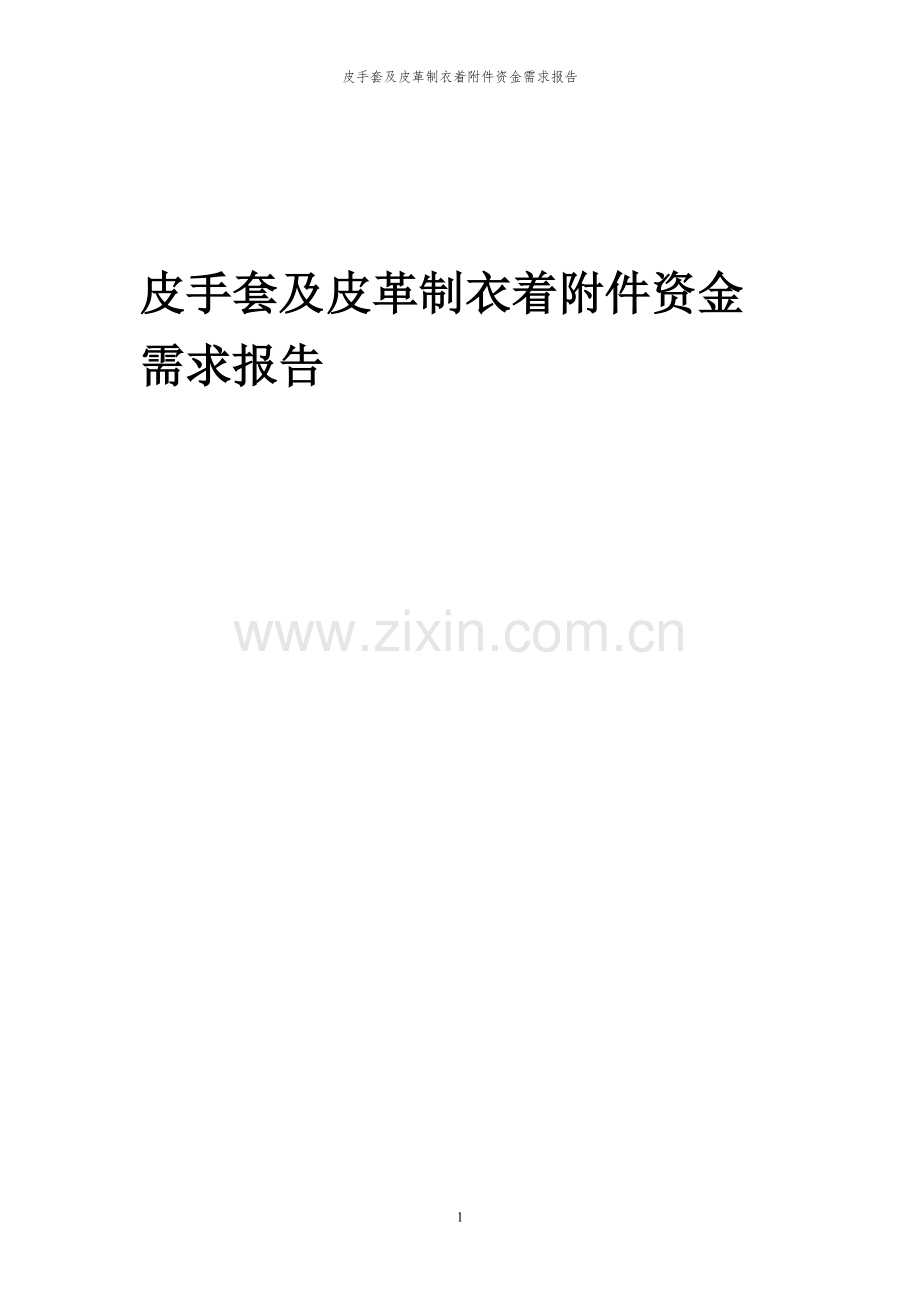 2023年皮手套及皮革制衣着项目资金需求报告.docx_第1页