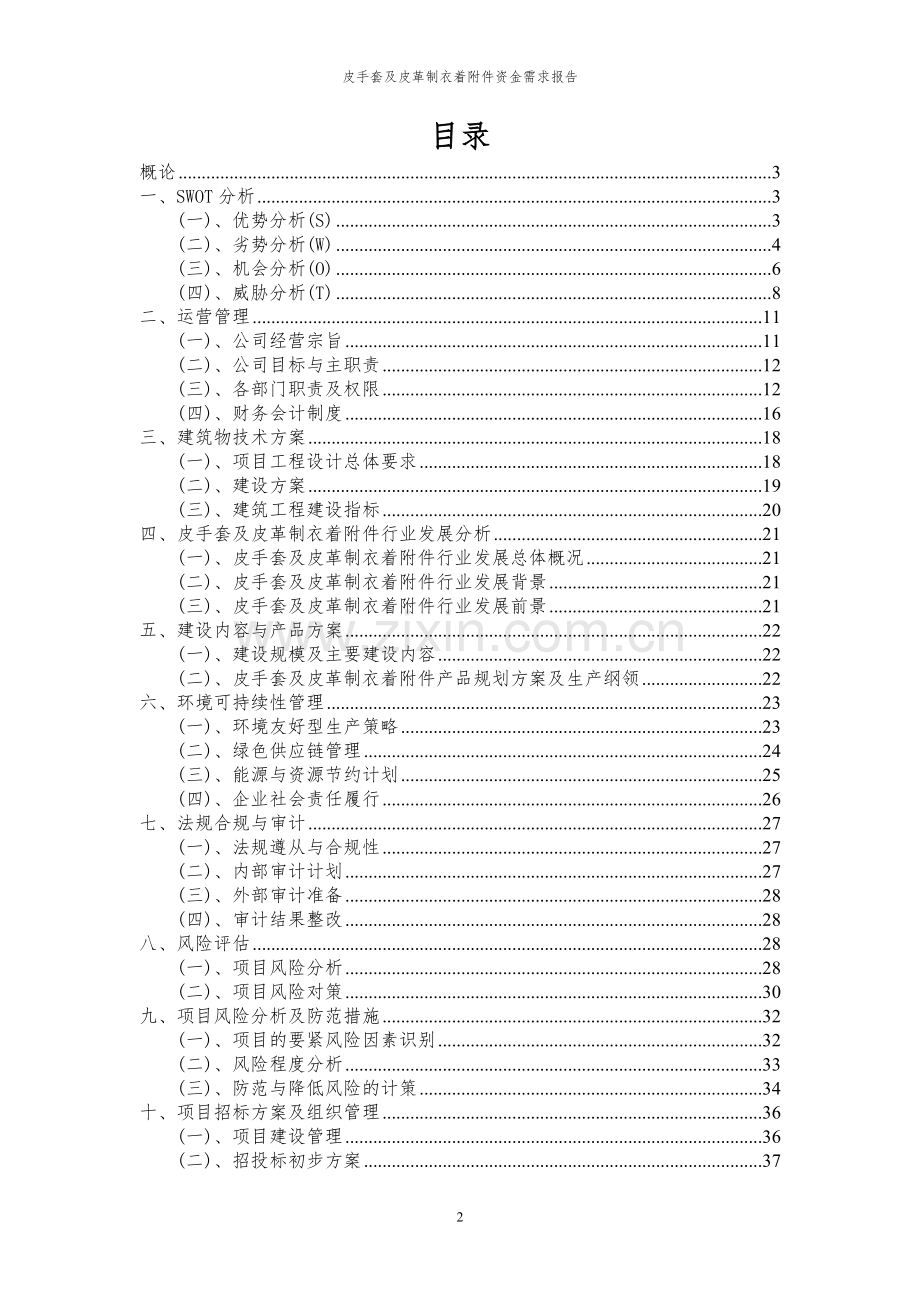 2023年皮手套及皮革制衣着项目资金需求报告.docx_第2页