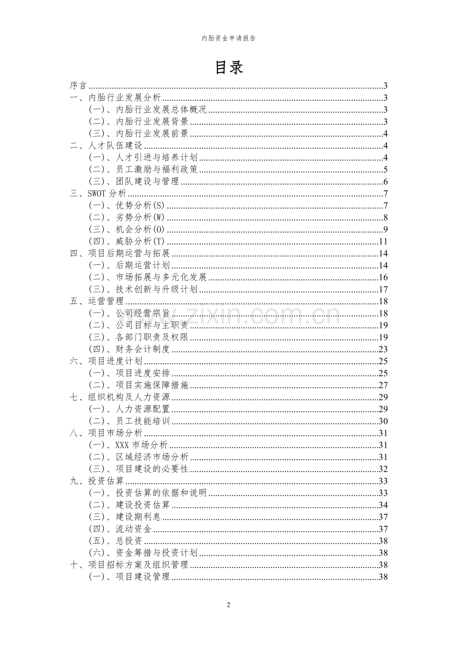 2024年内胎投资项目资金申请报告.docx_第2页