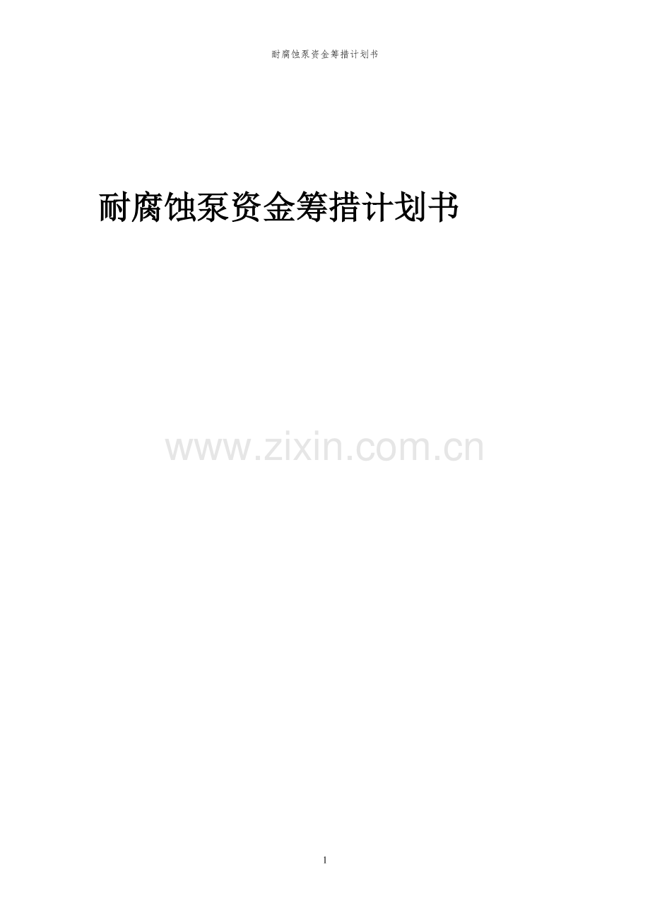 2024年耐腐蚀泵项目资金筹措计划书.docx_第1页