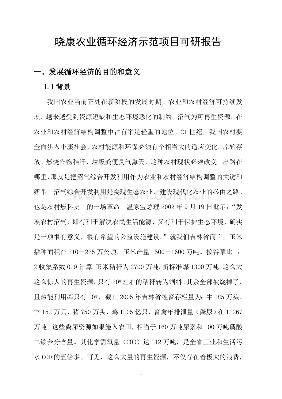 晓康农业循环经济示范项目可行性分析报告.doc_第1页