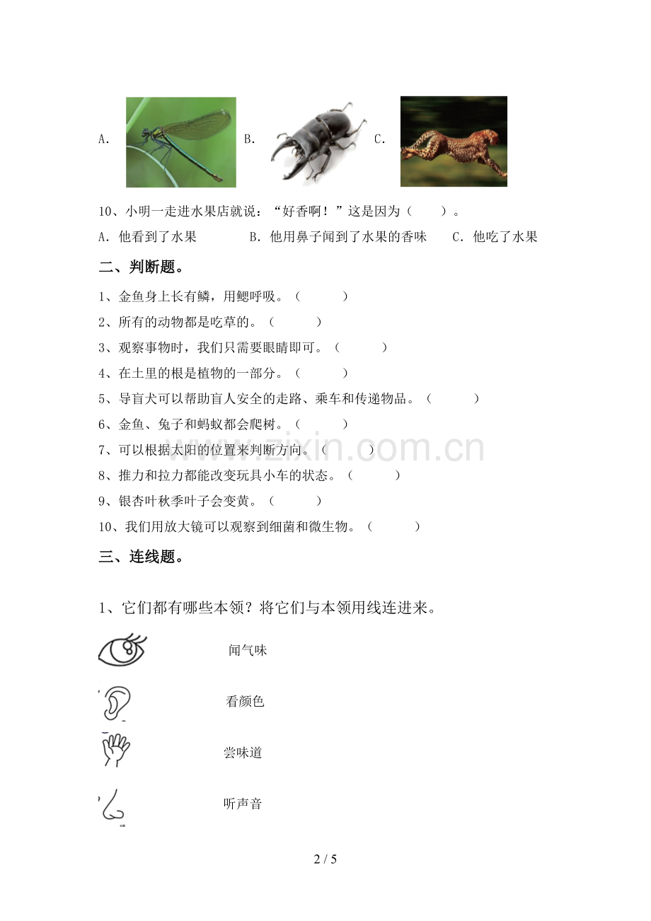 苏教版一年级科学下册期中考试题及答案.doc_第2页