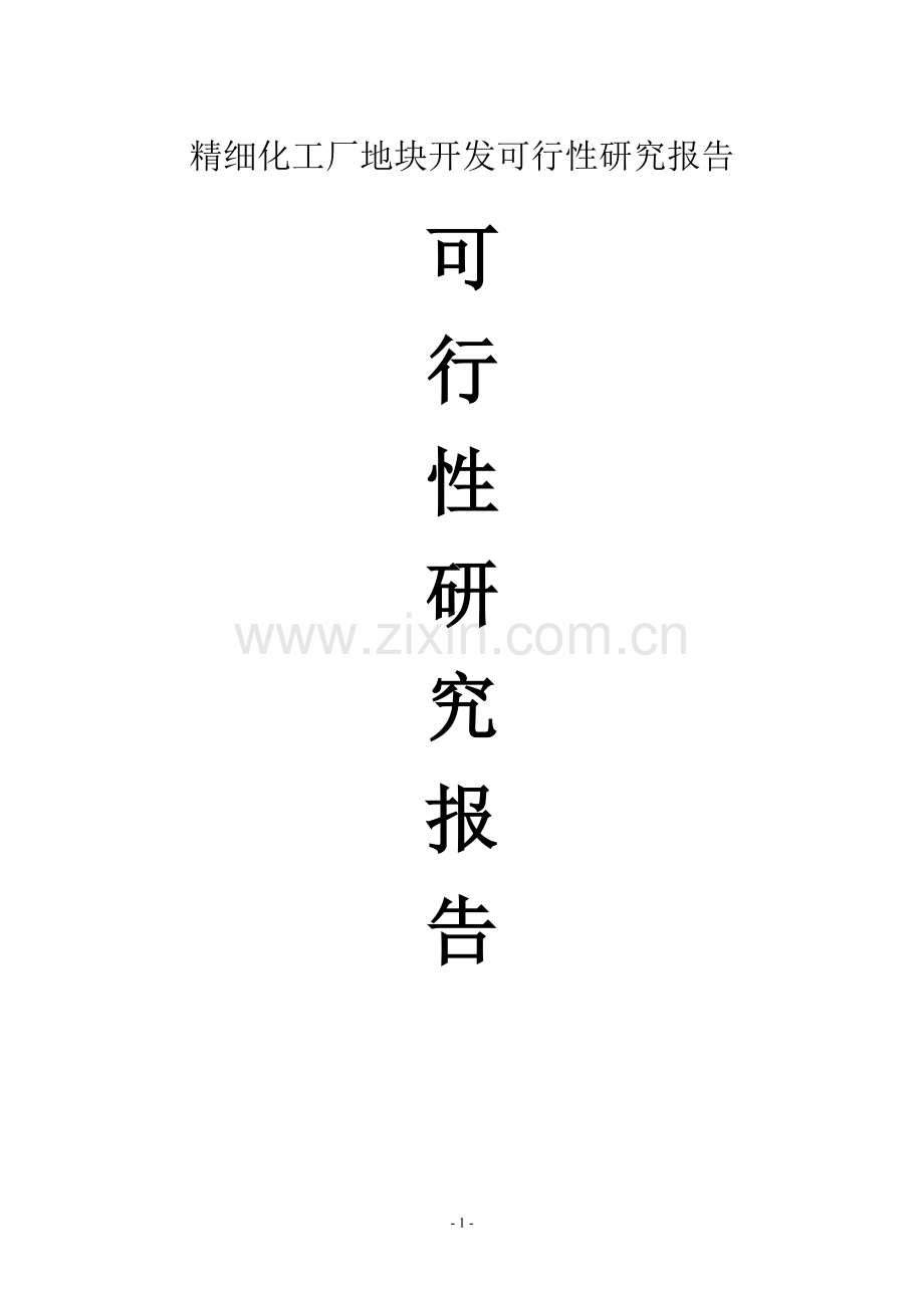 精细化工厂项目可行性论证报告.doc_第1页