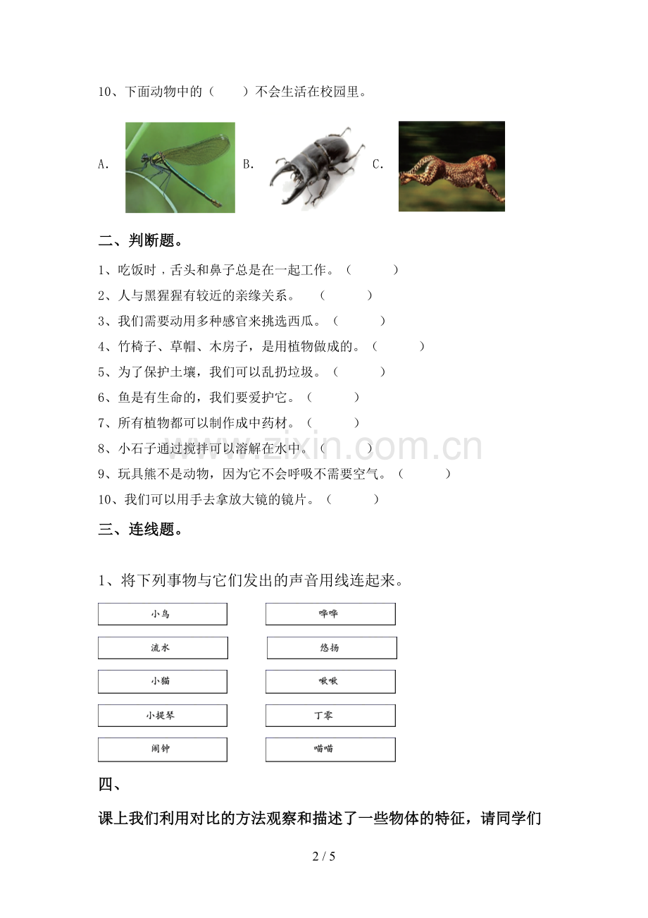新人教版一年级科学下册期中测试卷(参考答案).doc_第2页