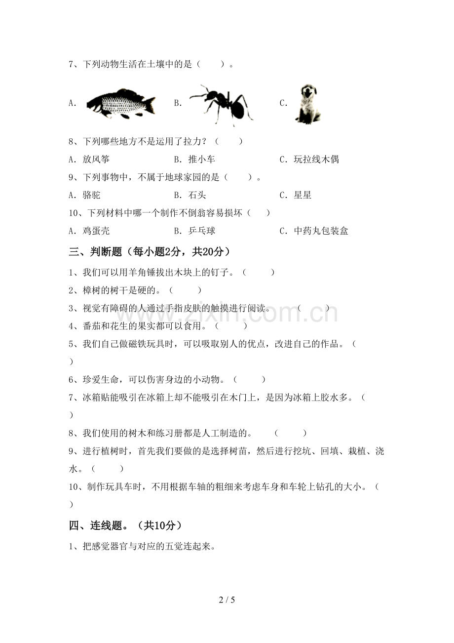 2022-2023年人教版二年级科学下册期中考试卷及答案下载.doc_第2页