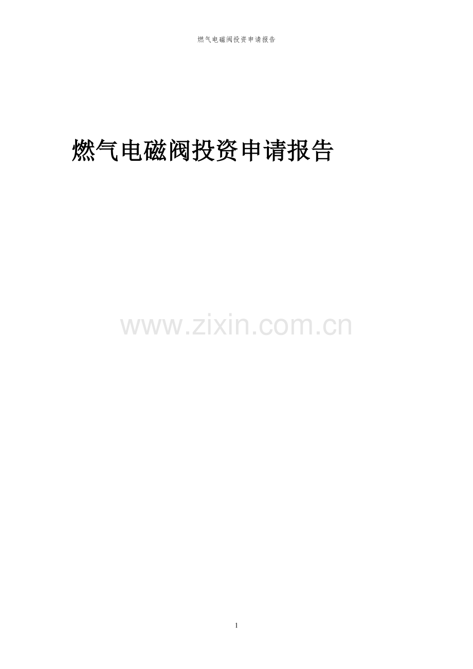 2023年燃气电磁阀项目投资申请报告.docx_第1页