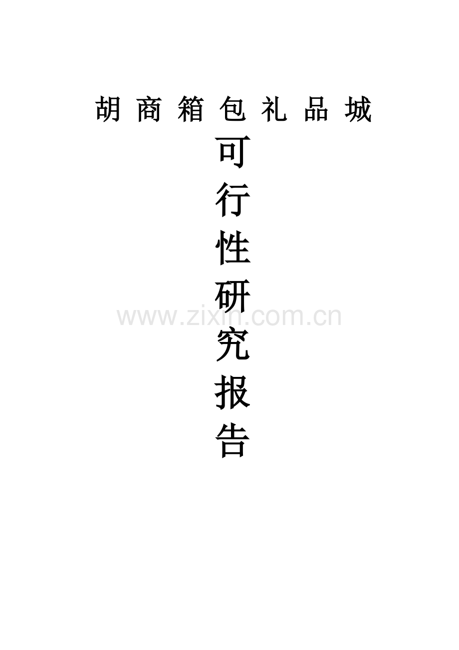 兴庆区胡商箱包礼品城可行性论证报告.doc_第1页