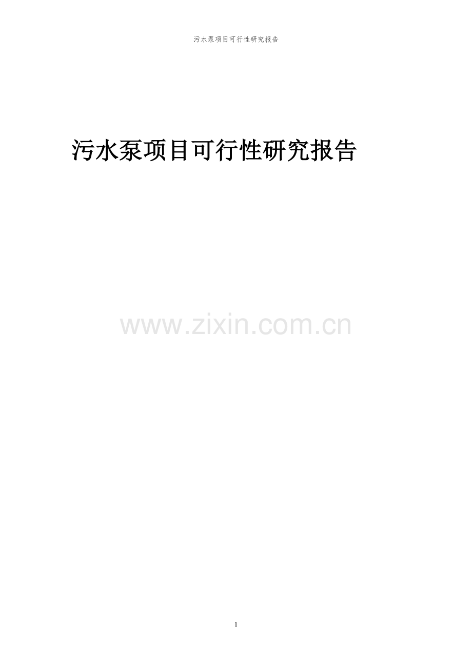 2024年污水泵项目可行性研究报告书.docx_第1页