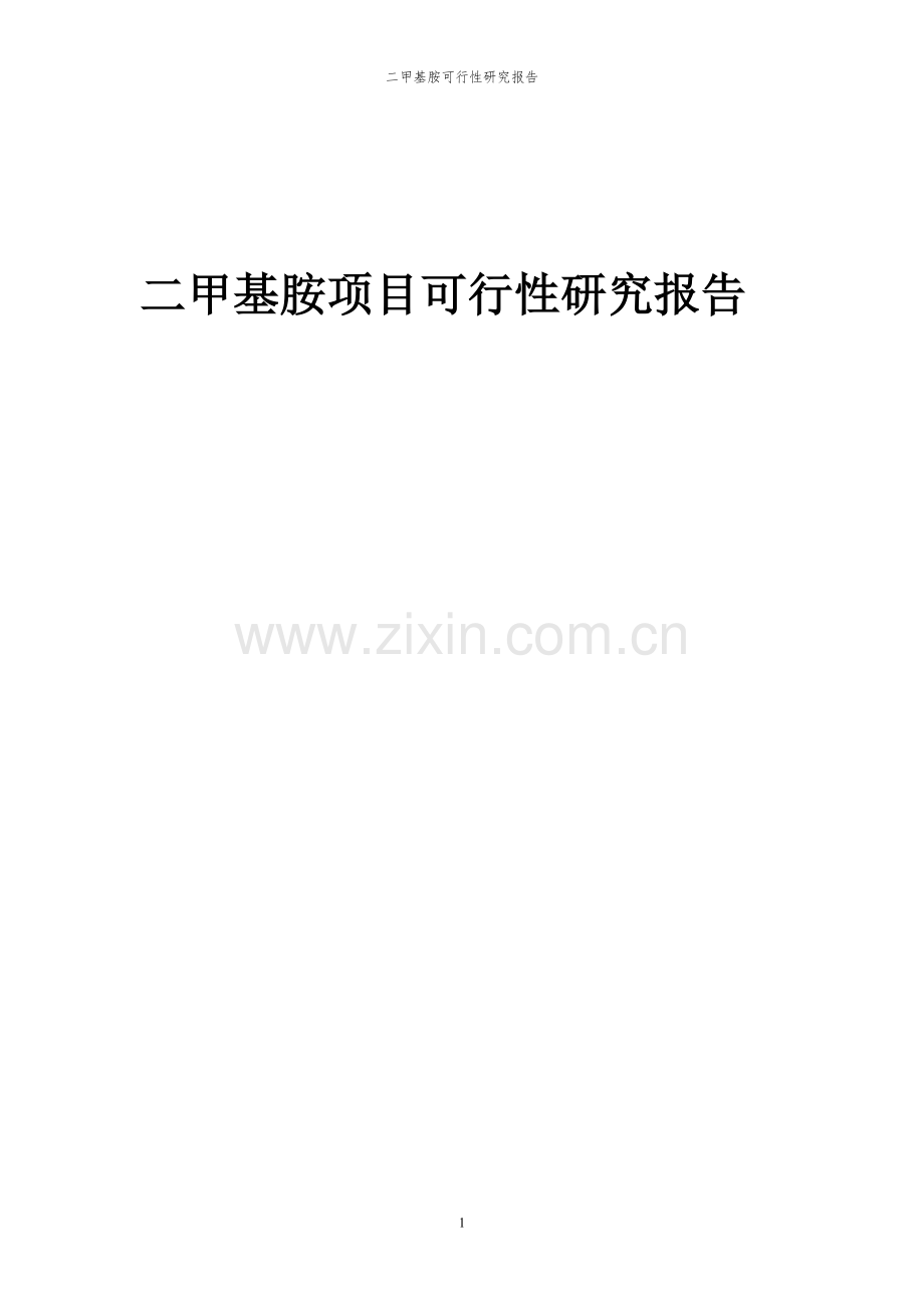 2023年二甲基胺项目可行性研究报告.docx_第1页