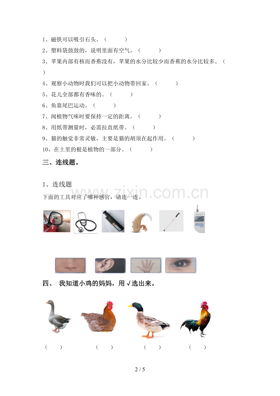 2023年人教版一年级科学下册期中测试卷含答案.doc_第2页