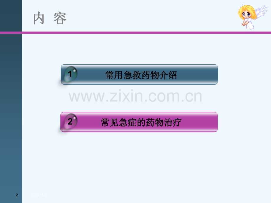急救药物的临床应用.ppt_第2页