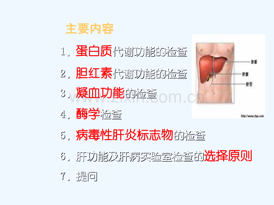 肝脏病实验检查.pptx_第2页