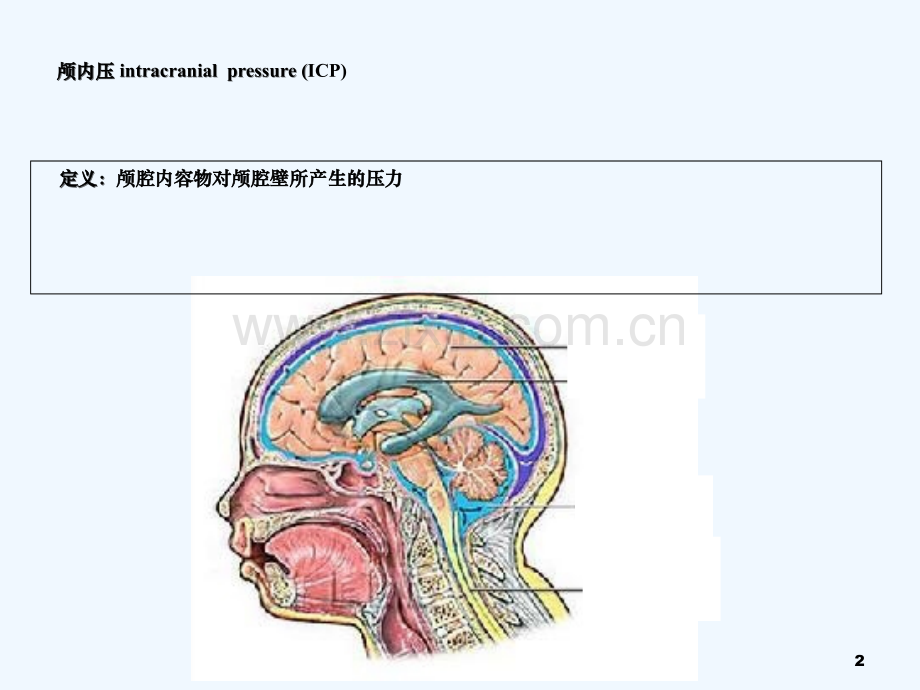 颅内压增高病人的护理.ppt_第2页