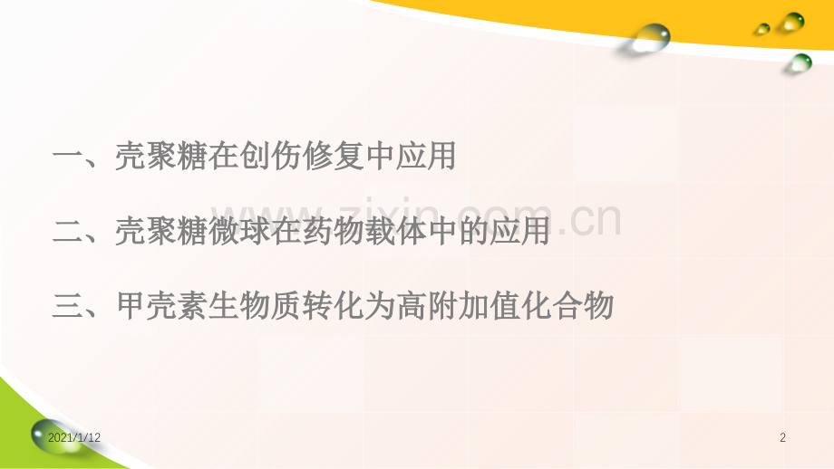 壳聚糖甲壳素应用.ppt_第2页