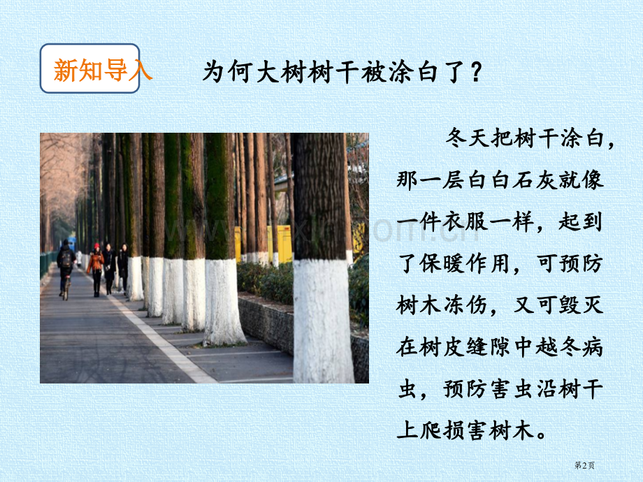 四季与植物课件省公开课一等奖新名师优质课比赛一等奖课件.pptx_第2页
