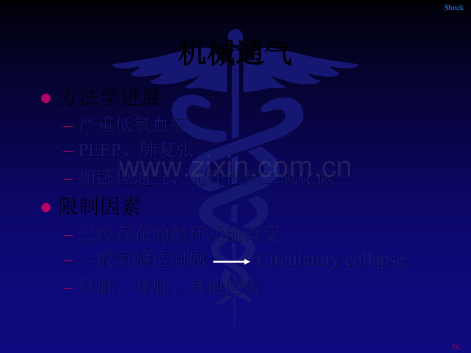 机械通气的血流动力学效应.ppt_第2页