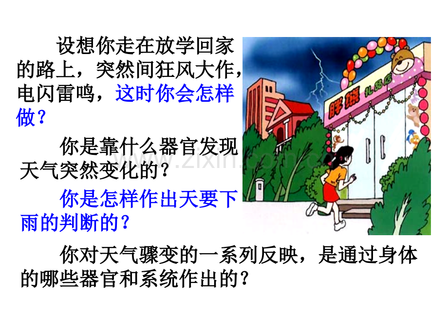 人体对外界环境的感知教育课件.ppt_第2页