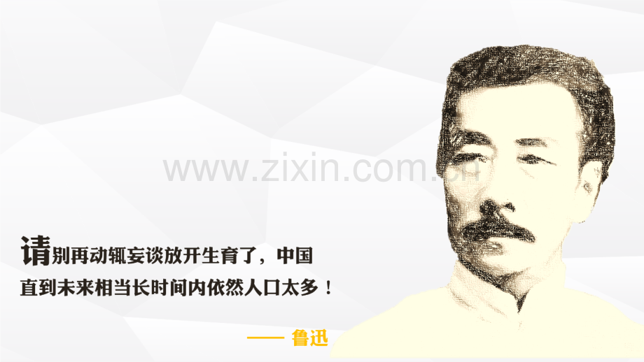 二胎政策实施情况的调查报告教育课件.ppt_第2页