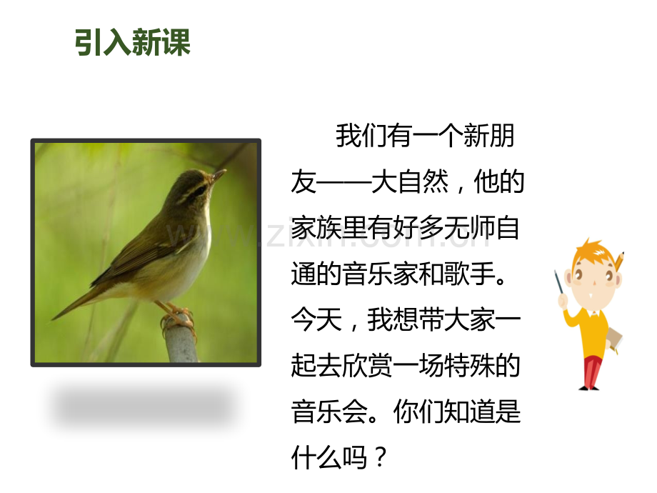 21--大自然的声音专题培训课件.ppt_第1页