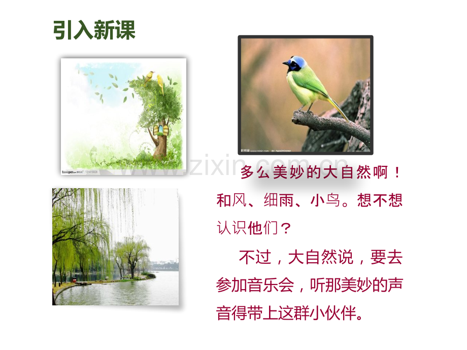 21--大自然的声音专题培训课件.ppt_第2页