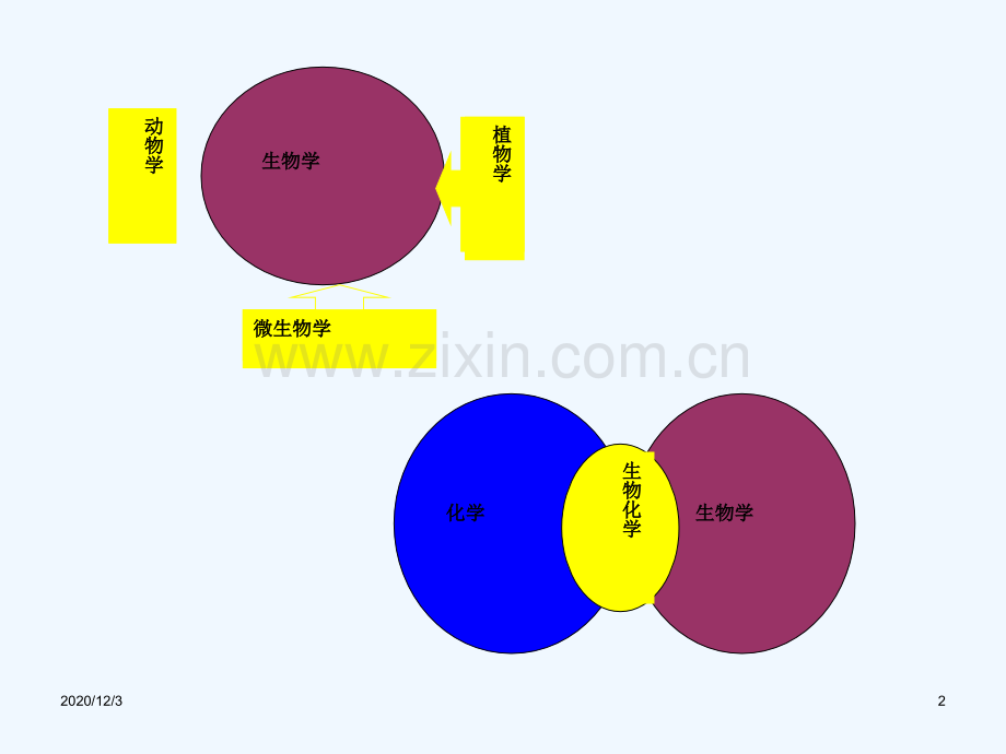医学生物化学绪论.ppt_第2页