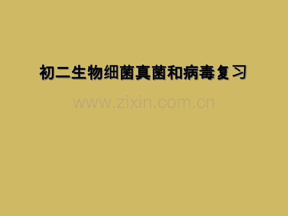 初二生物细菌真菌和病毒复习.ppt_第1页