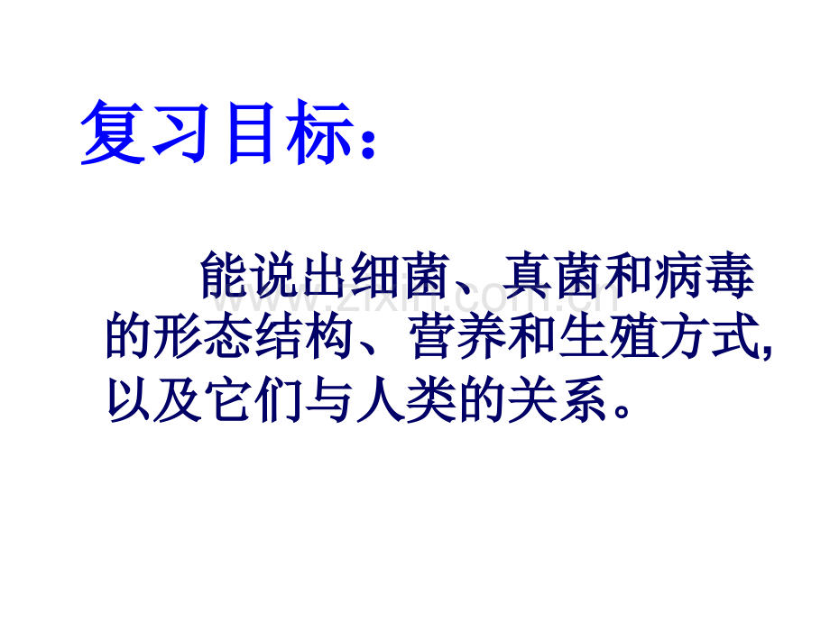 初二生物细菌真菌和病毒复习.ppt_第2页