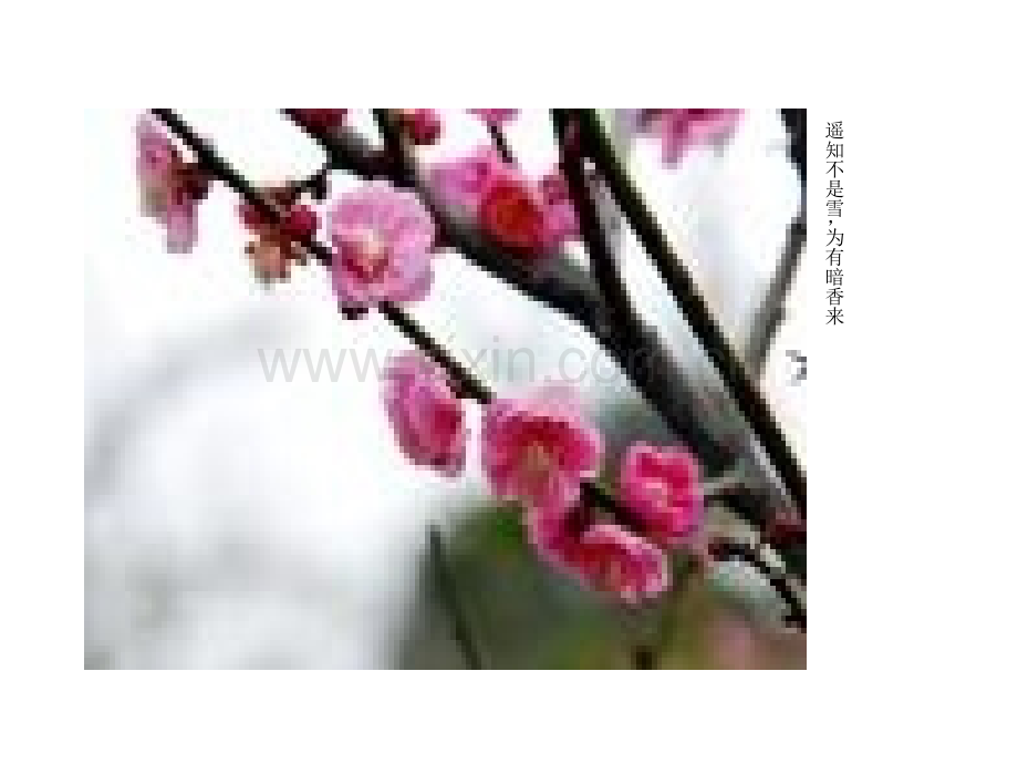 初三化学分子和原子PPT课件.ppt_第2页