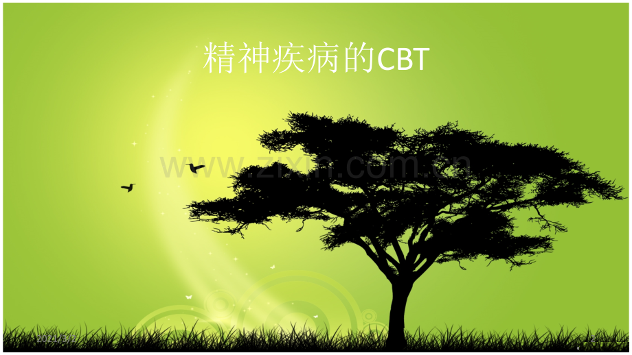 精神疾病的认知行为疗法.ppt_第2页