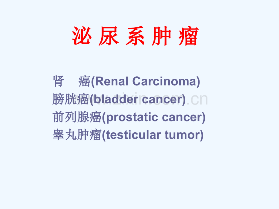 泌尿系统肿瘤.pptx_第2页