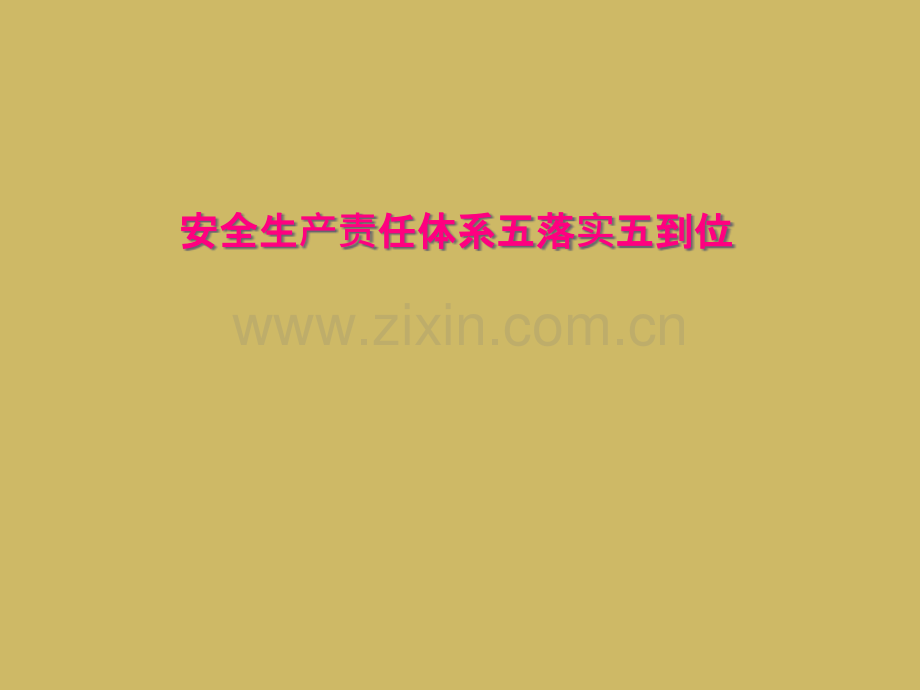 安全生产责任体系五落实五到位.pptx_第1页