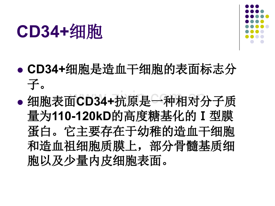 CD三四细胞分离及其体外扩增-医学课件.ppt_第1页