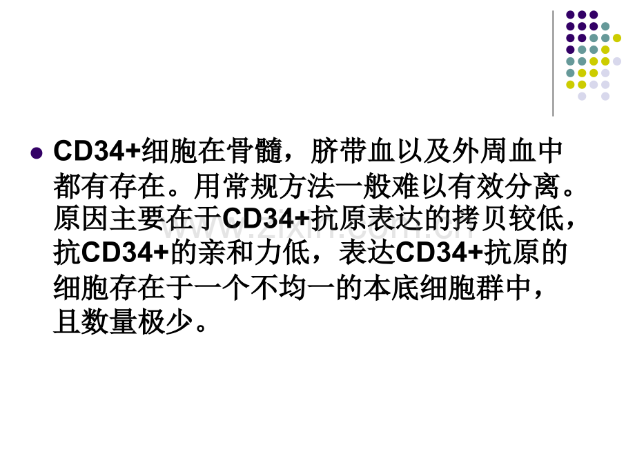 CD三四细胞分离及其体外扩增-医学课件.ppt_第2页