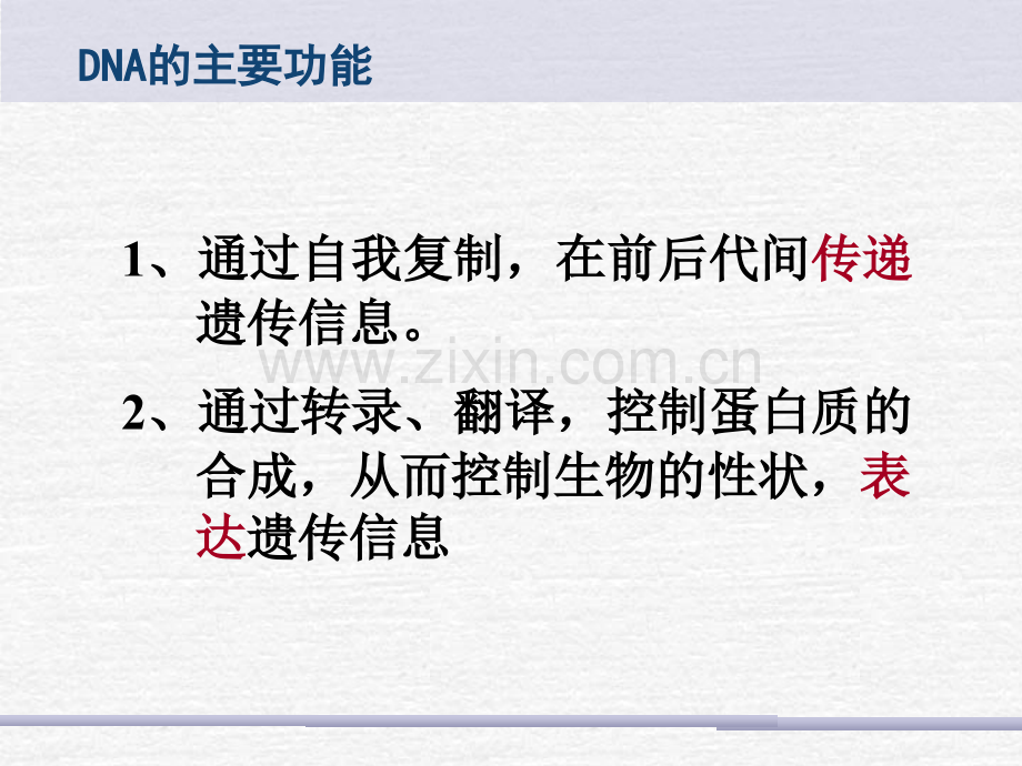 DNA的复制转录翻译PPT专业课件.ppt_第1页