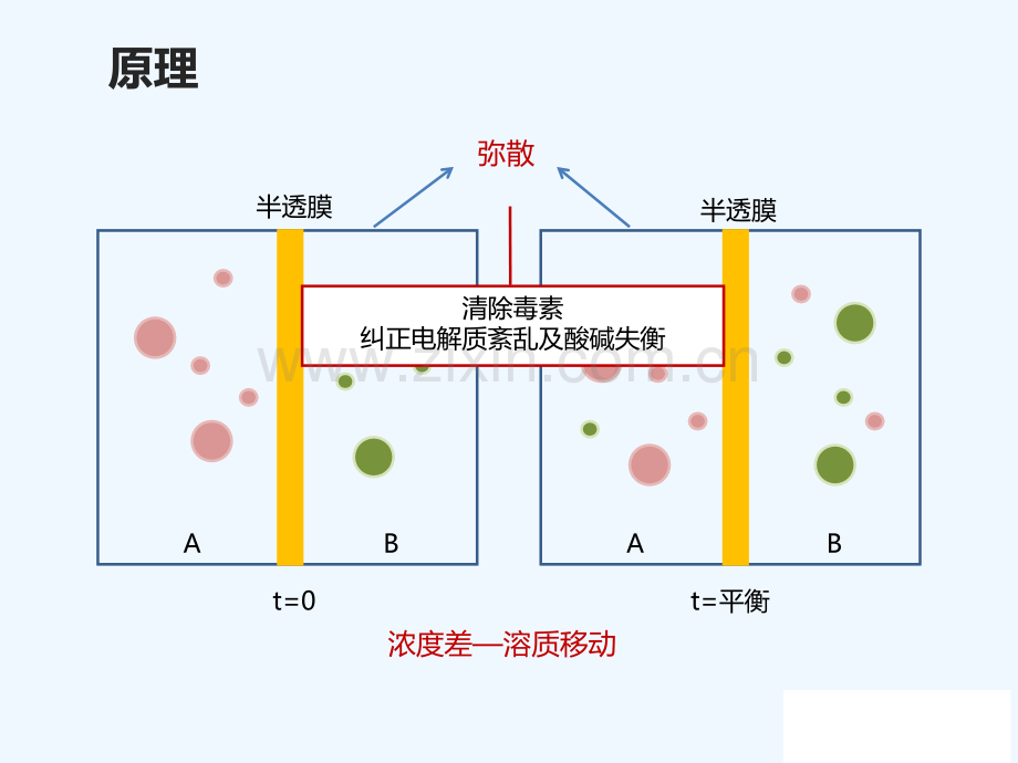 血液透析概述.pptx_第2页