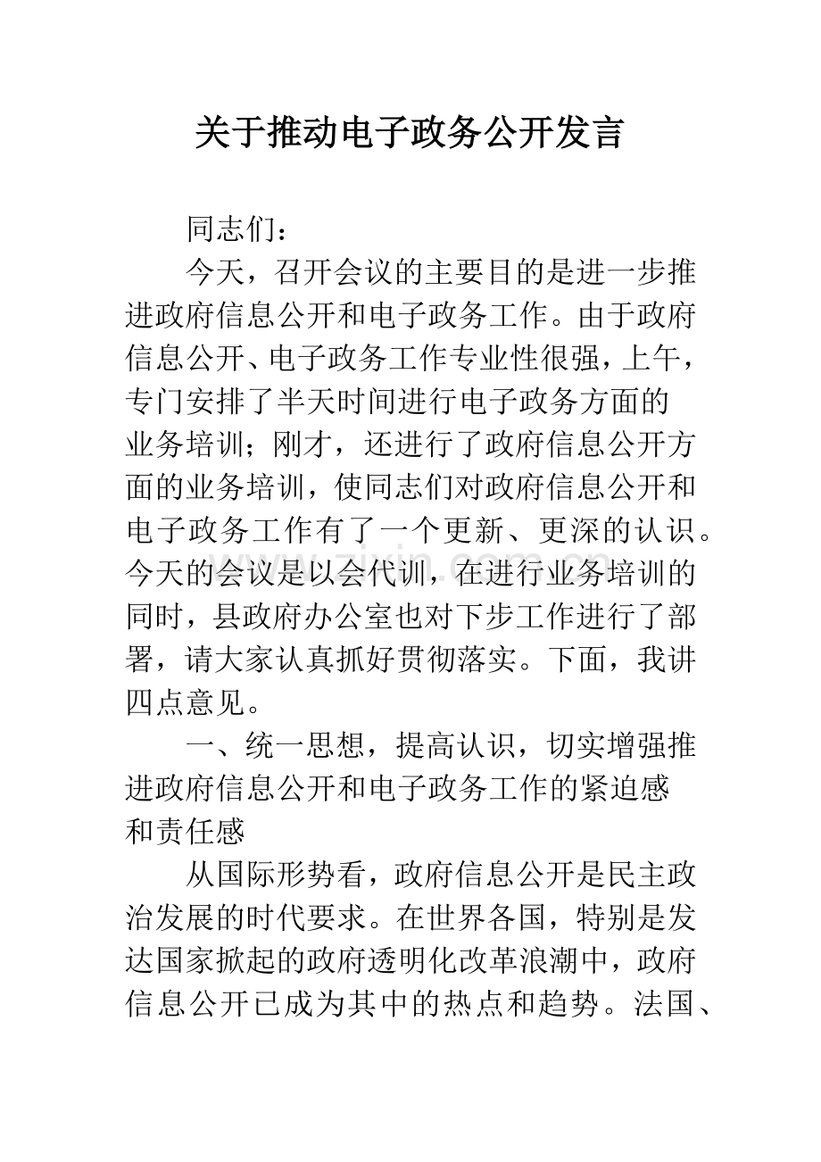 关于推动电子政务公开发言.docx_第1页