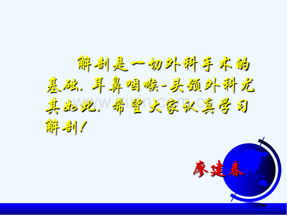 甲状腺手术喉返神经保护的应用解剖与临床.ppt_第2页
