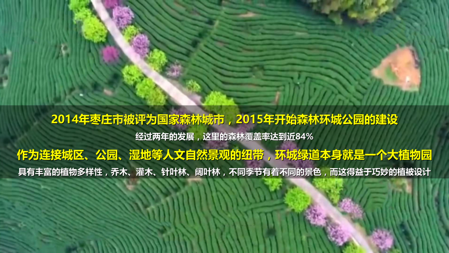 山东枣庄市环城森林绿道案例.ppt_第2页