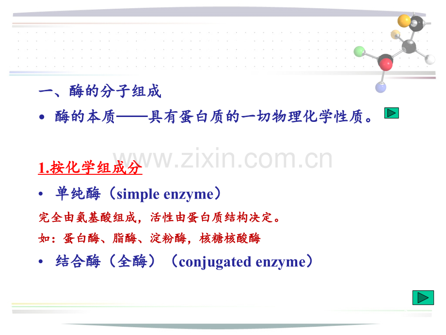 酶的分子结构与功能.ppt_第2页