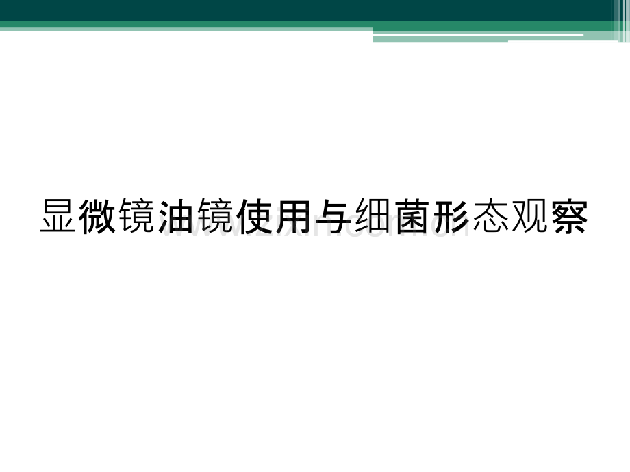 显微镜油镜使用与细菌形态观察.ppt_第1页