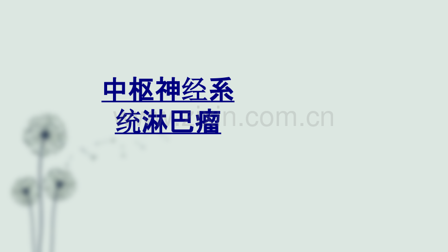 中枢神经系统淋巴瘤PPT优质课件.ppt_第1页