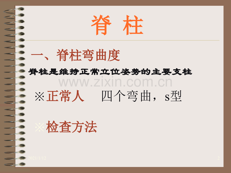 脊柱及四肢体格检查详解.ppt_第2页