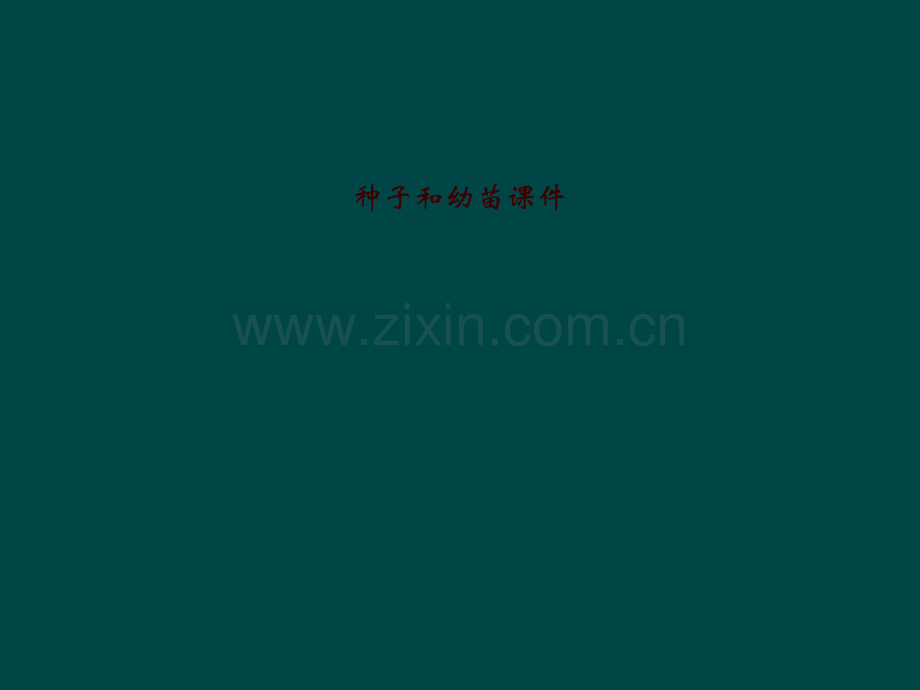 种子和幼苗课件.pptx_第1页