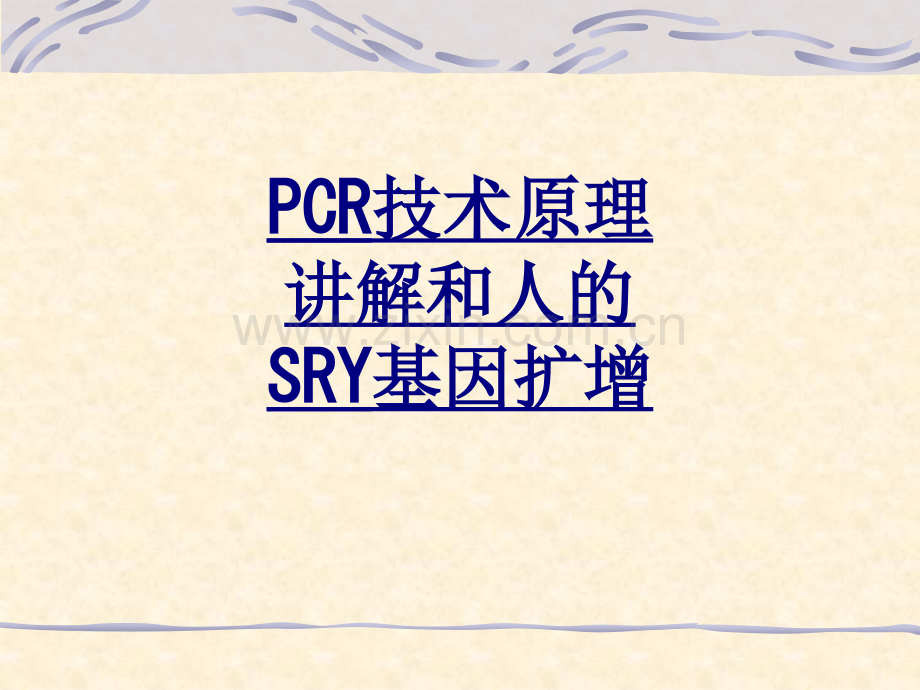 PCR技术原理讲解和人的SRY基因扩增优质PPT课件.ppt_第1页