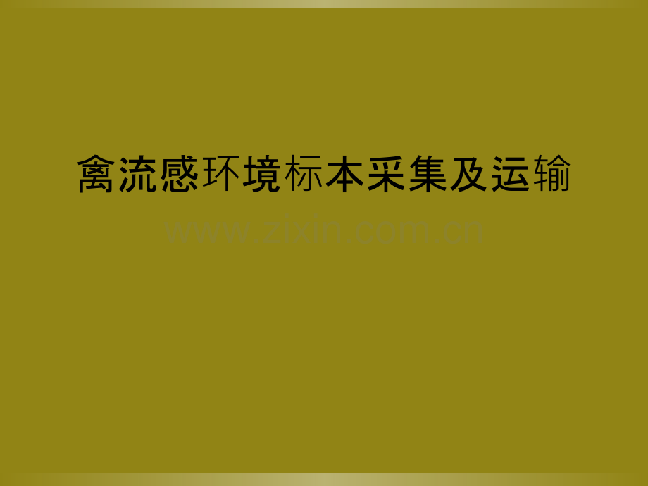 禽流感环境标本采集及运输.ppt_第1页