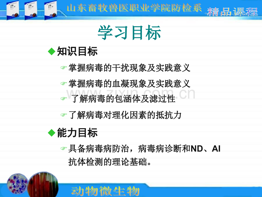 动物微生物病毒其他特性.ppt_第2页