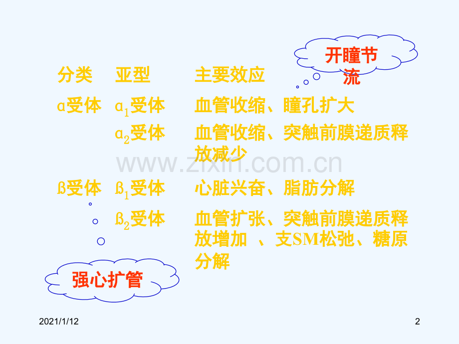肾上腺素受体激动拮抗药.ppt_第2页
