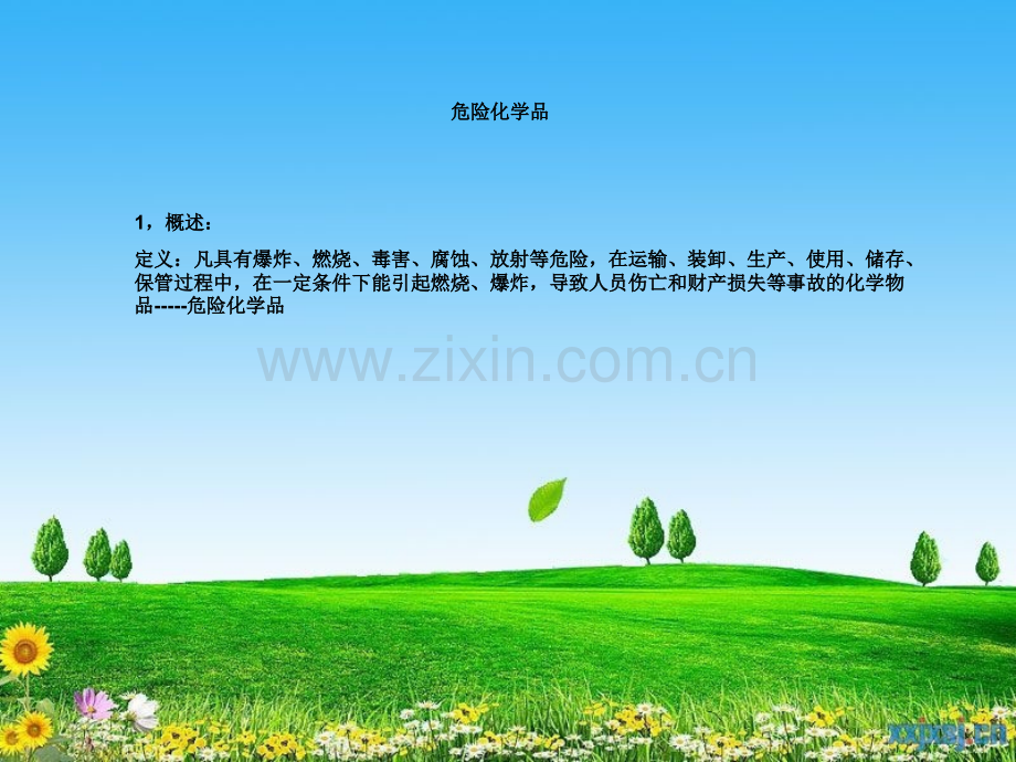 危险化学品行政公文工作范文实用文档.pptx_第2页