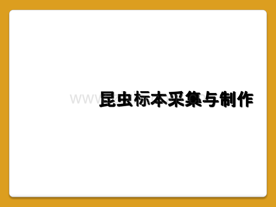 昆虫标本采集与制作.ppt_第1页