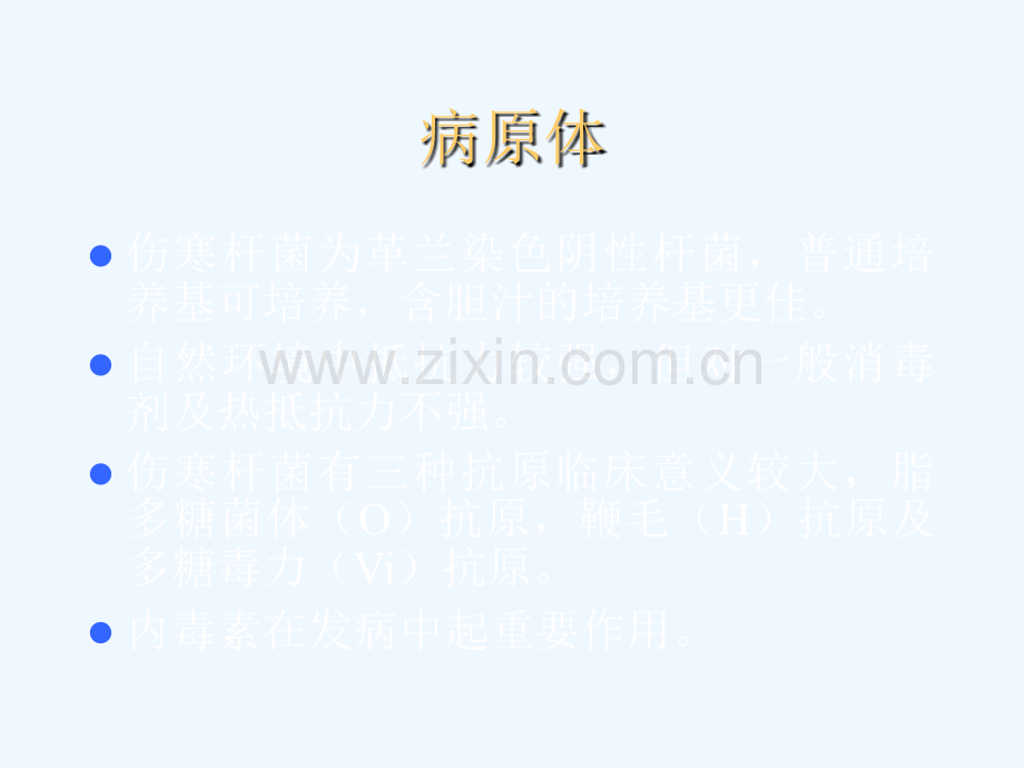 传染病学伤寒.pptx_第2页